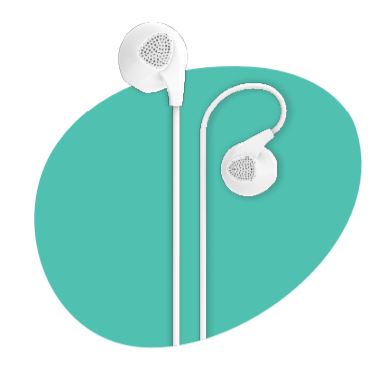 Pebble 2025 zest bassbuds